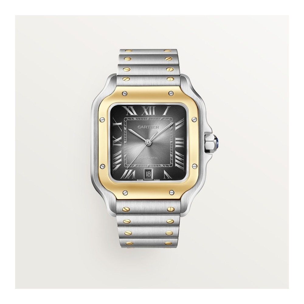 Cartier Panthère de Cartier Medium Model 18K Sarı Altın & Çelik
